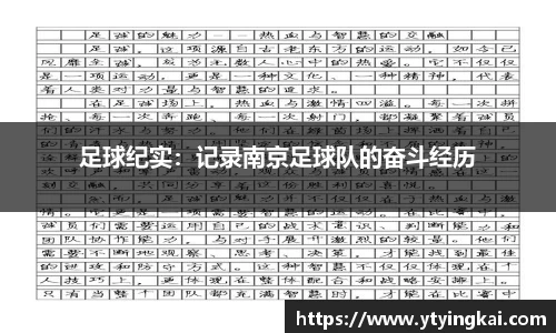 足球纪实：记录南京足球队的奋斗经历