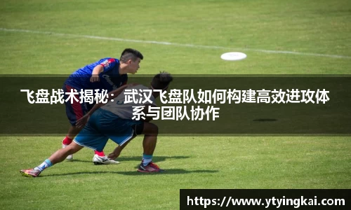 飞盘战术揭秘：武汉飞盘队如何构建高效进攻体系与团队协作
