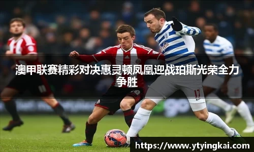 澳甲联赛精彩对决惠灵顿凤凰迎战珀斯光荣全力争胜