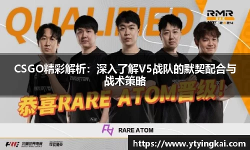 CSGO精彩解析：深入了解V5战队的默契配合与战术策略